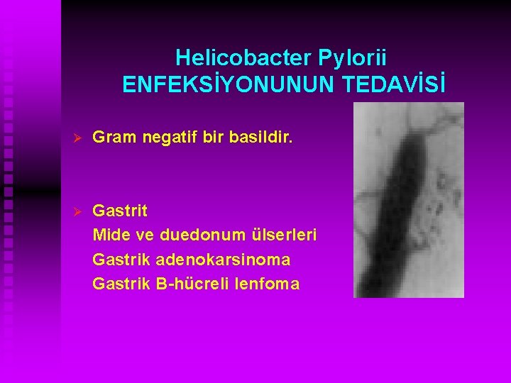 Helicobacter Pylorii ENFEKSİYONUNUN TEDAVİSİ Ø Gram negatif bir basildir. Ø Gastrit Mide ve duedonum
