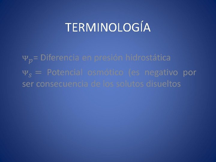 TERMINOLOGÍA 