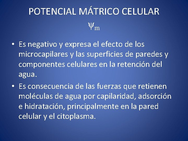 POTENCIAL MÁTRICO CELULAR ψm • Es negativo y expresa el efecto de los microcapilares