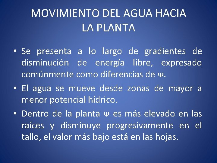 MOVIMIENTO DEL AGUA HACIA LA PLANTA • Se presenta a lo largo de gradientes