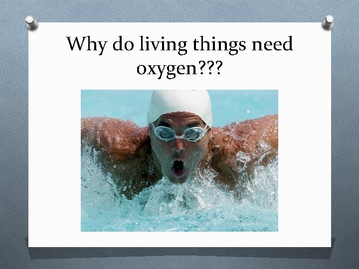 Why do living things need oxygen? ? ? 
