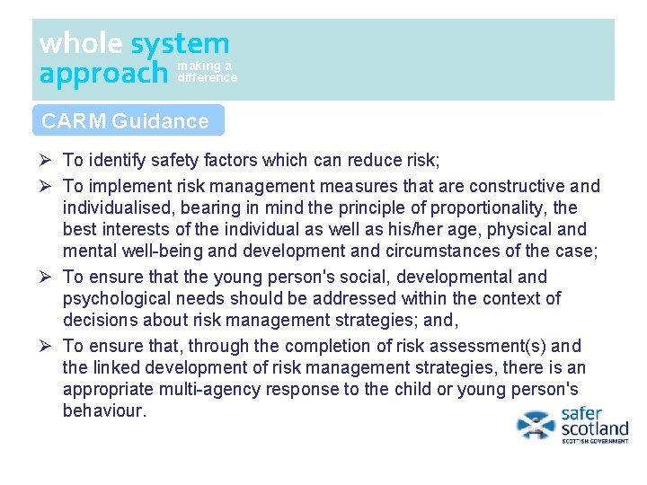 whole system approach making a difference CARM Guidance Ø To identify safety factors which whole system approach making a difference CARM Guidance Ø To identify safety factors which
