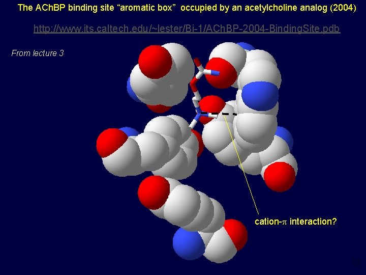 The ACh. BP binding site “aromatic box” occupied by an acetylcholine analog (2004) http: