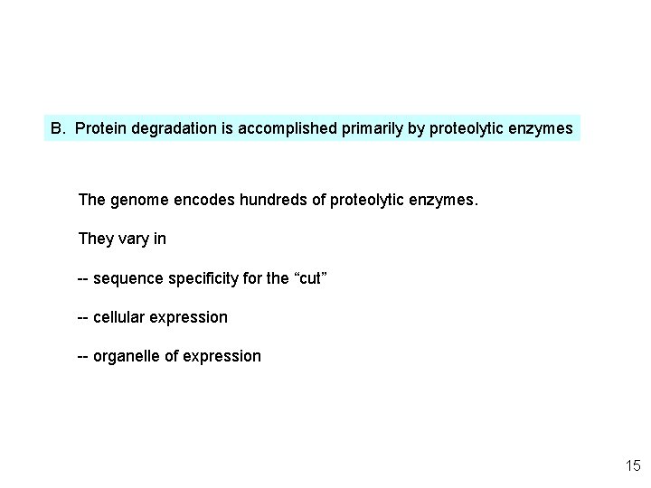 B. Protein degradation is accomplished primarily by proteolytic enzymes The genome encodes hundreds of