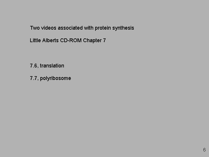 Two videos associated with protein synthesis Little Alberts CD-ROM Chapter 7 7. 6, translation