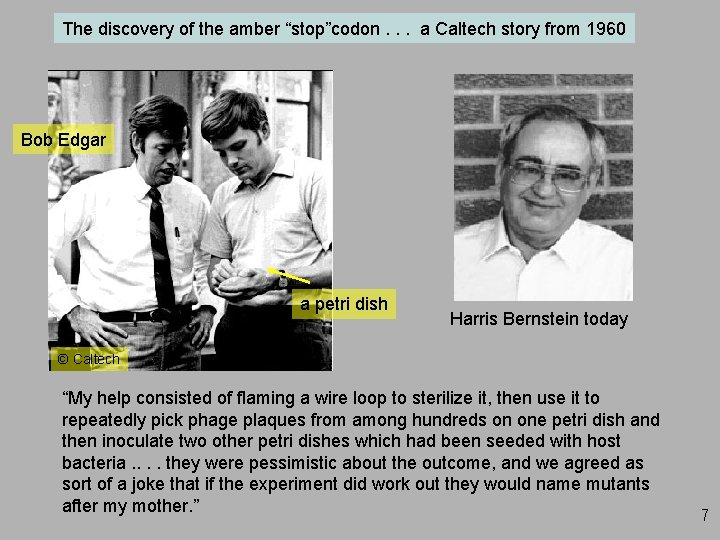 The discovery of the amber “stop”codon. . . a Caltech story from 1960 Bob