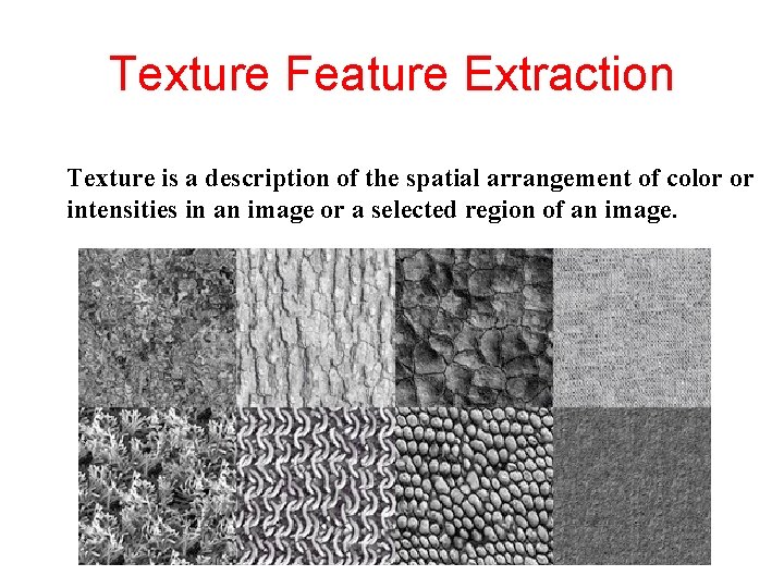 Texture Feature Extraction Texture is a description of the spatial arrangement of color or