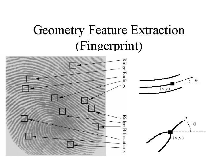 Geometry Feature Extraction (Fingerprint) 