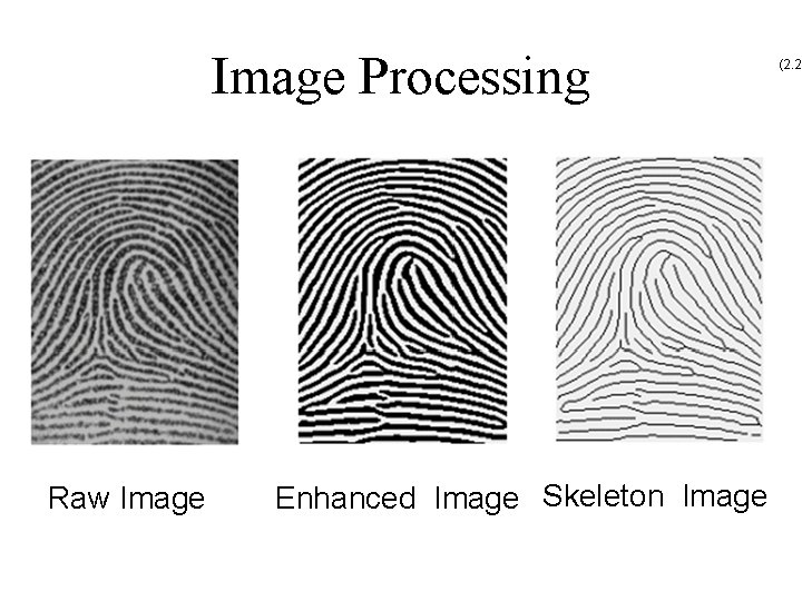 Image Processing Raw Image Enhanced Image Skeleton Image (2. 2) 