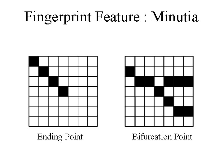 Fingerprint Feature : Minutia Ending Point Bifurcation Point 