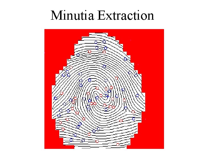 Minutia Extraction 