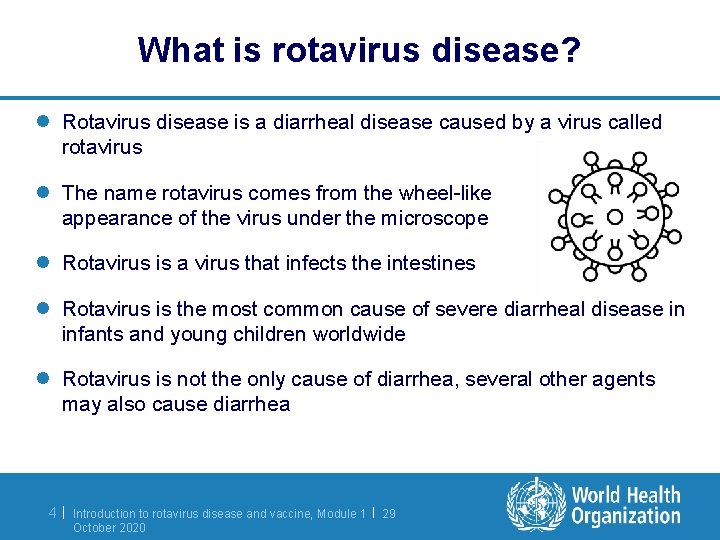 What is rotavirus disease? l Rotavirus disease is a diarrheal disease caused by a