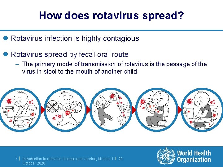 How does rotavirus spread? l Rotavirus infection is highly contagious l Rotavirus spread by How does rotavirus spread? l Rotavirus infection is highly contagious l Rotavirus spread by
