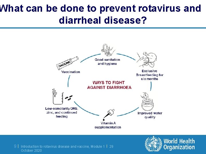 What can be done to prevent rotavirus and diarrheal disease? 9| Introduction to rotavirus