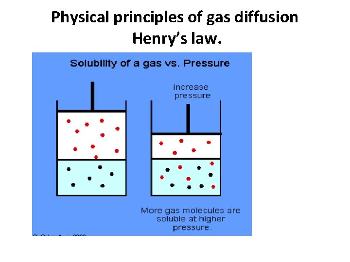 Physical principles of gas diffusion Henry’s law. 