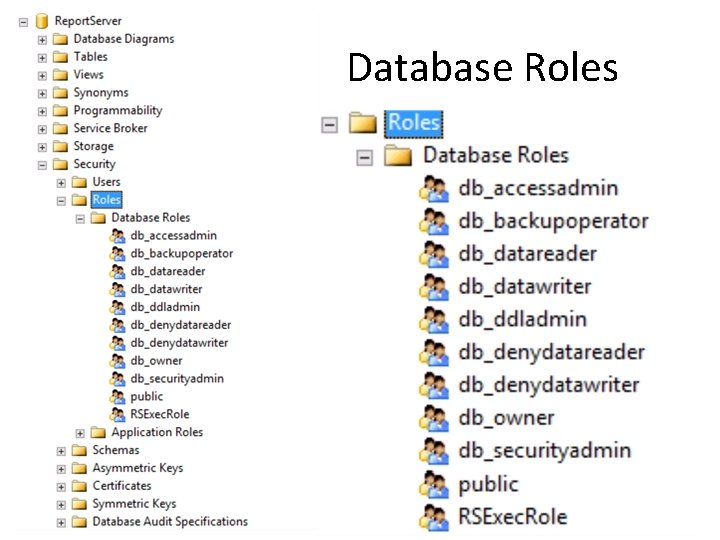 Database Roles 