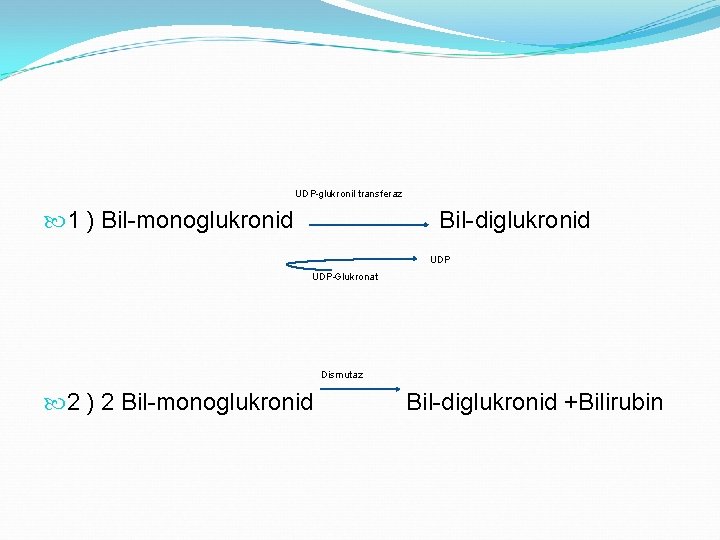 UDP-glukronil transferaz 1 ) Bil-monoglukronid Bil-diglukronid UDP-Glukronat Dismutaz 2 ) 2 Bil-monoglukronid Bil-diglukronid +Bilirubin