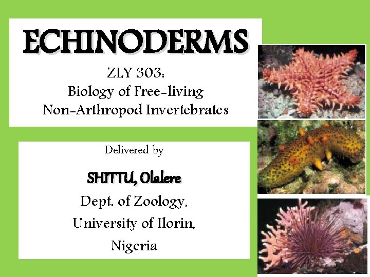 ECHINODERMS ZLY 303: Biology of Free-living Non-Arthropod Invertebrates Delivered by SHITTU, Olalere Dept. of