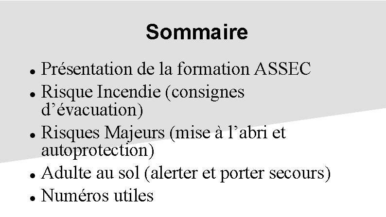 Sommaire Présentation de la formation ASSEC Risque Incendie (consignes d’évacuation) Risques Majeurs (mise à