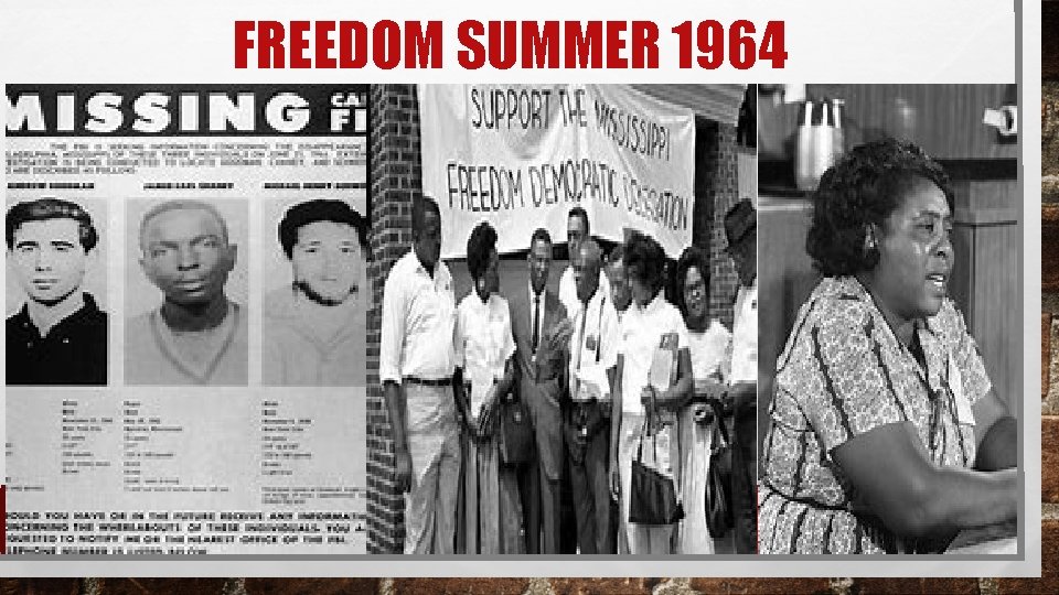 FREEDOM SUMMER 1964 