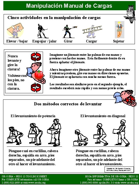 Manipulación Manual de Cargas Cinco actividades en la manipulación de cargas Elevar / bajar