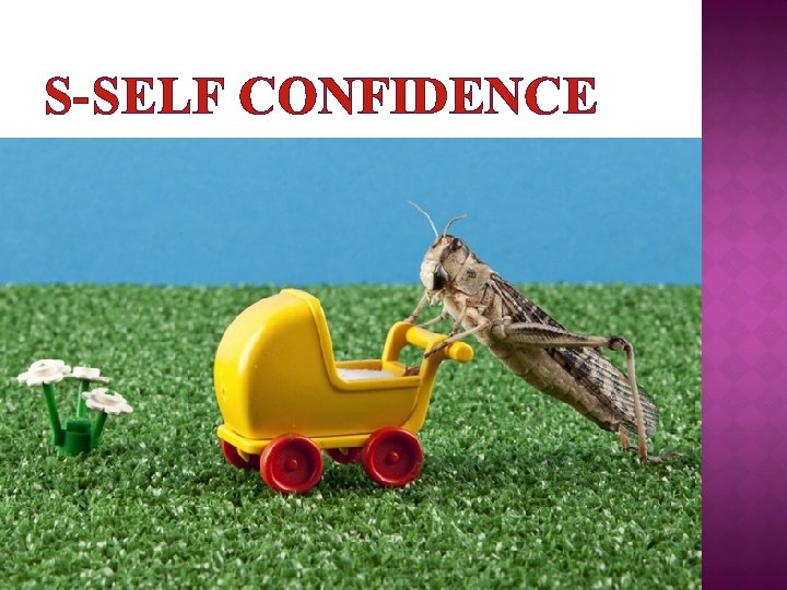 S-SELF CONFIDENCE 