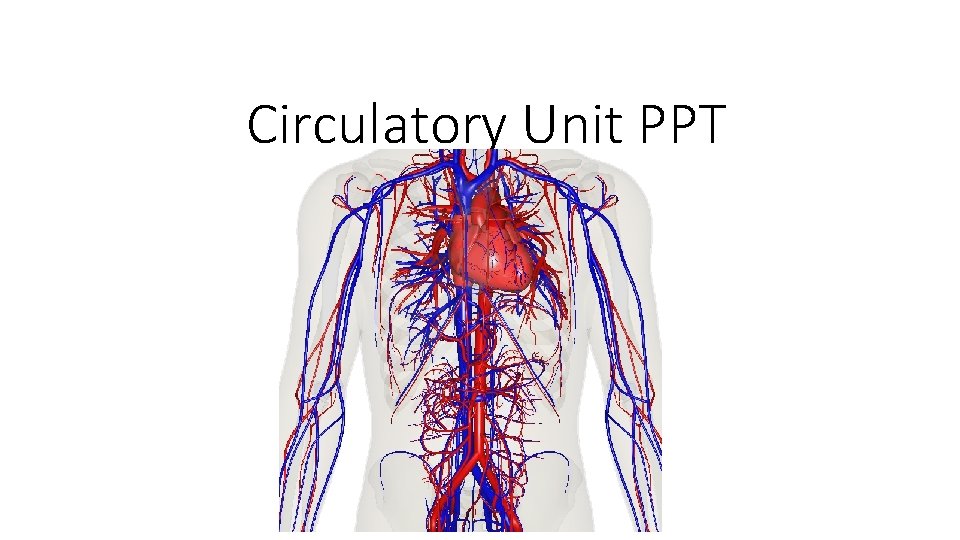 Circulatory Unit PPT 