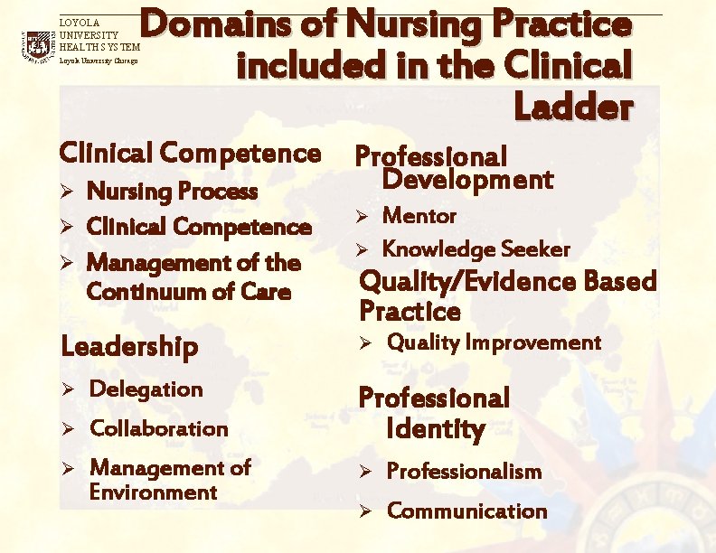 Domains of Nursing Practice included in the Clinical Ladder LOYOLA UNIVERSITY HEALTH SYSTEM Loyola