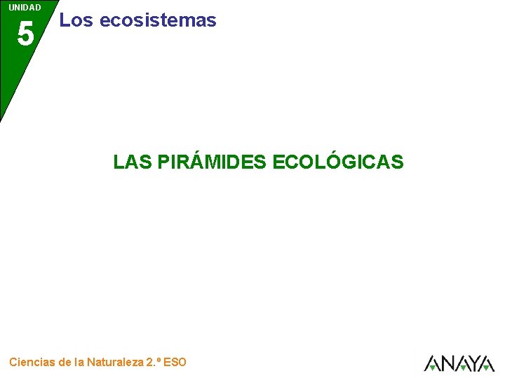 UNIDAD 5 Los ecosistemas LAS PIRÁMIDES ECOLÓGICAS Ciencias de la Naturaleza 2. º ESO