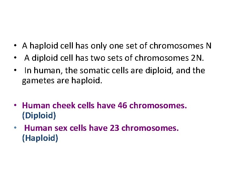  • A haploid cell has only one set of chromosomes N • A