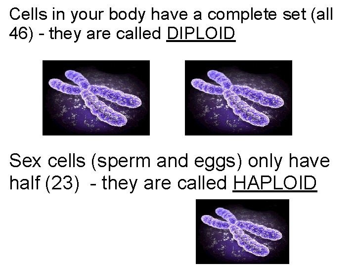 Cells in your body have a complete set (all 46) - they are called
