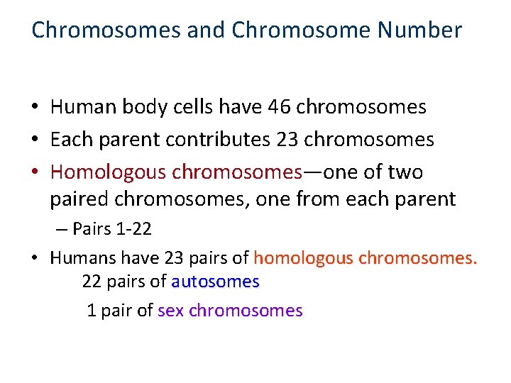Chromosomes and Chromosome Number • Human body cells have 46 chromosomes • Each parent