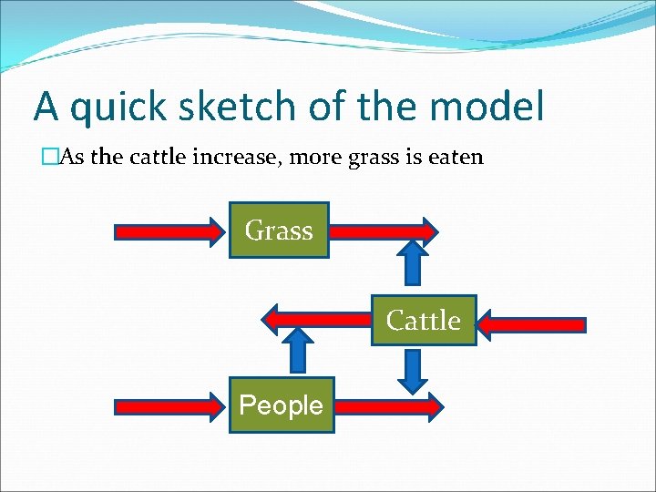 A quick sketch of the model �As the cattle increase, more grass is eaten
