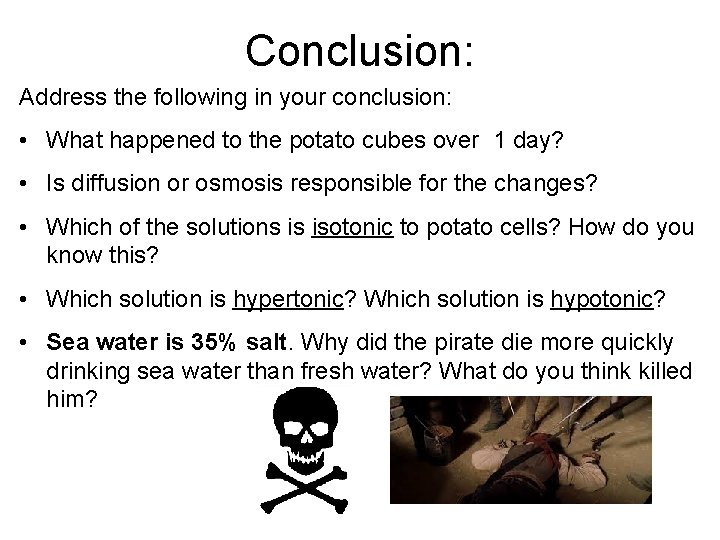 Conclusion: Address the following in your conclusion: • What happened to the potato cubes