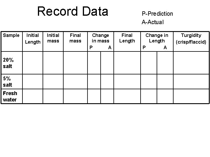 Record Data Sample 20% salt 5% salt Fresh water Initial Length Initial mass Final