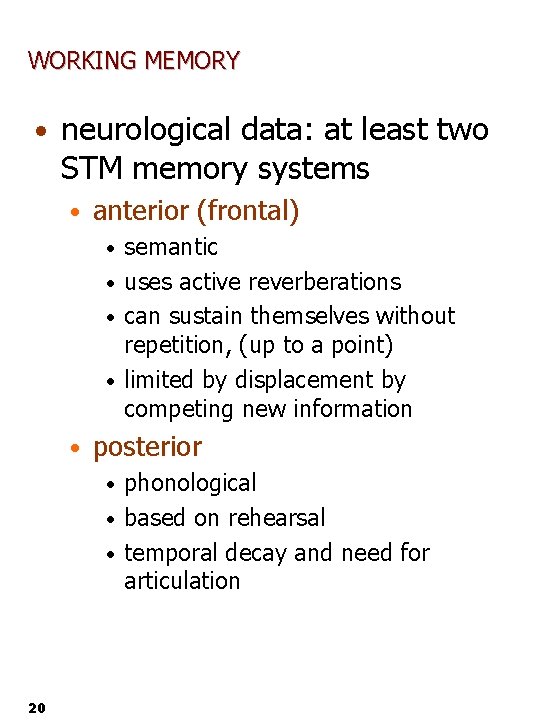 WORKING MEMORY • neurological data: at least two STM memory systems • anterior (frontal)