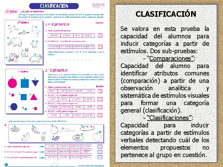 CLASIFICACIÓN Se valora en esta prueba la capacidad del alumnos para inducir categorías a