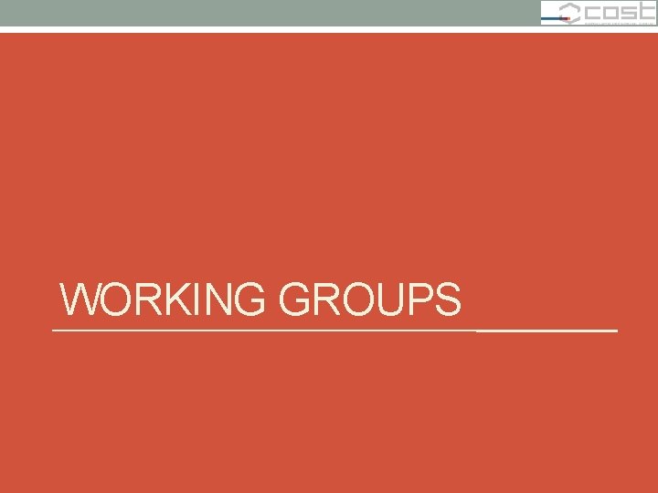 WORKING GROUPS 