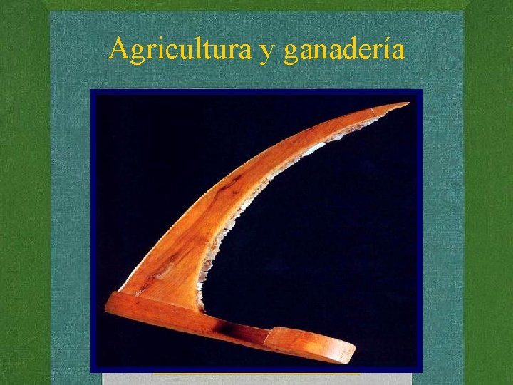 Agricultura y ganadería 