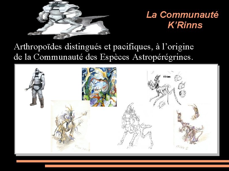 La Communauté K’Rinns Arthropoïdes distingués et pacifiques, à l’origine de la Communauté des Espèces