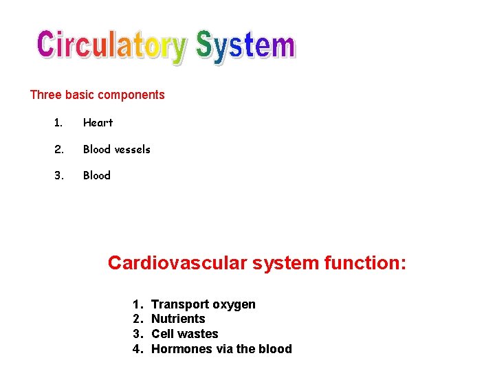 Three basic components 1. Heart 2. Blood vessels 3. Blood Cardiovascular system function: 1.