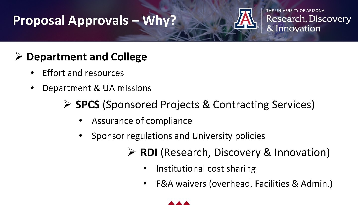 Drag picture to placeholder or click icon to add Proposal Approvals – Why? Ø