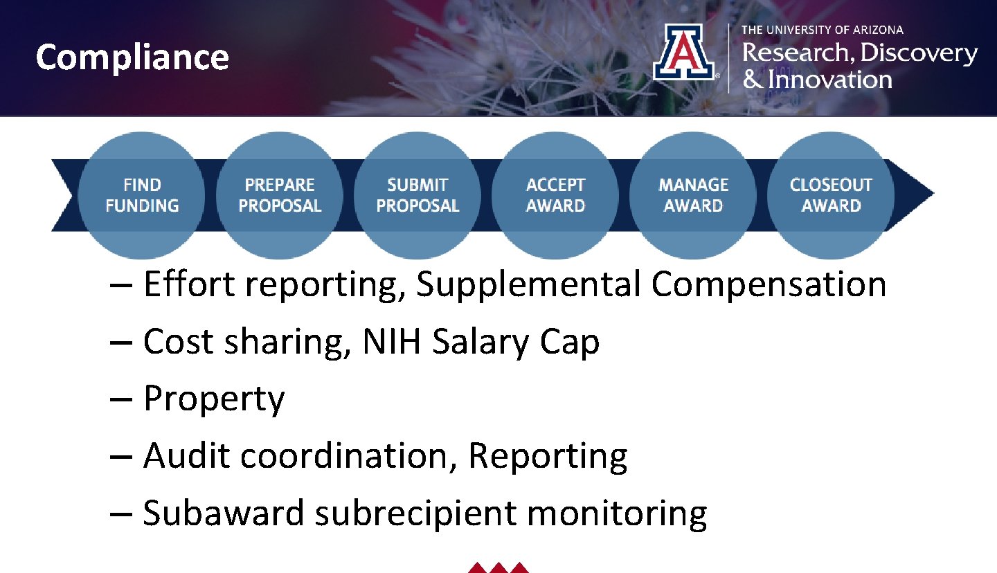 Drag picture to placeholder or click icon to add Compliance – Effort reporting, Supplemental