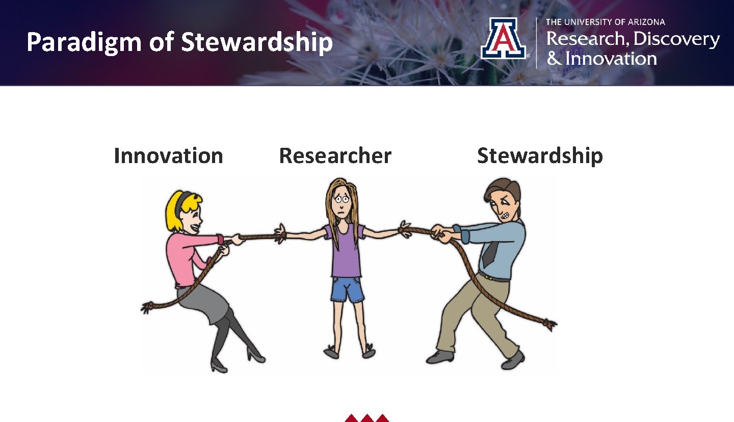 Drag picture to placeholder or click icon to add Paradigm of Stewardship Innovation Researcher