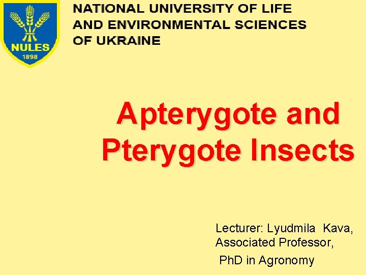 Apterygote and Pterygote Insects Lecturer: Lyudmila Kava, Associated Professor, Ph. D in Agronomy 