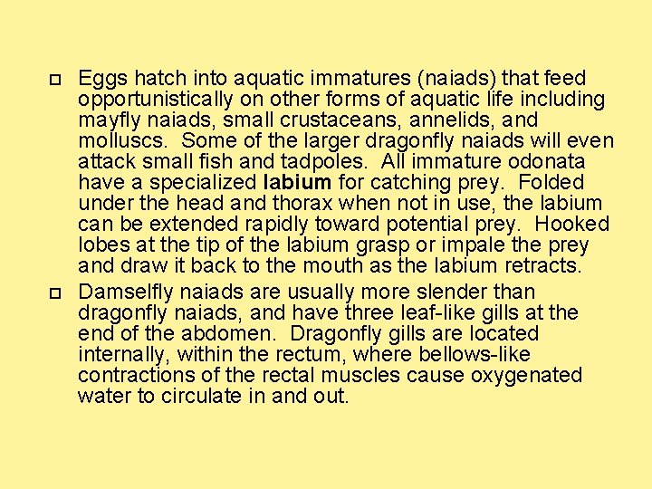  Eggs hatch into aquatic immatures (naiads) that feed opportunistically on other forms of