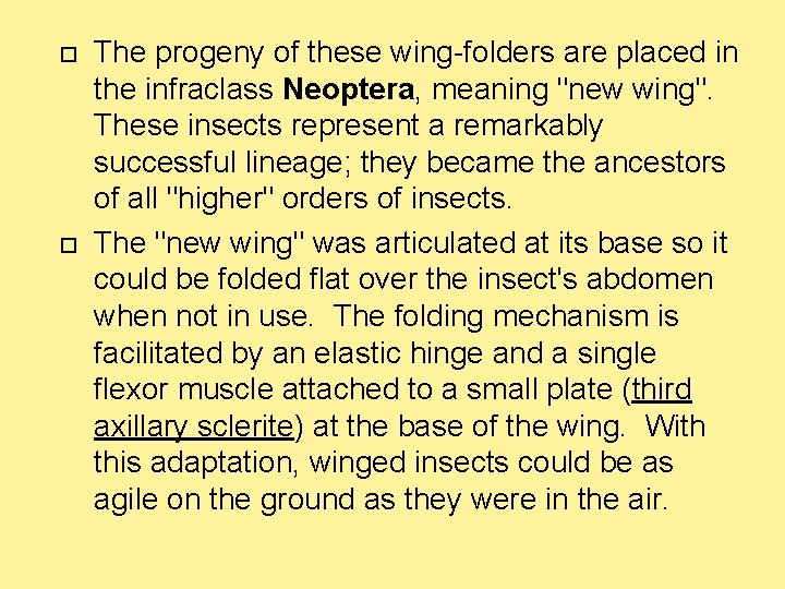  The progeny of these wing-folders are placed in the infraclass Neoptera, meaning "new