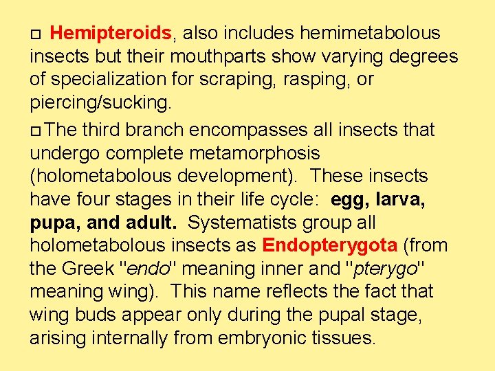  Hemipteroids, also includes hemimetabolous insects but their mouthparts show varying degrees of specialization