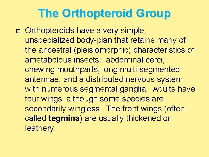 The Orthopteroid Group Orthopteroids have a very simple, unspecialized body-plan that retains many of