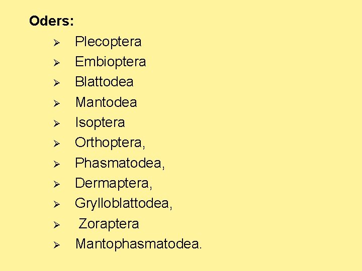 Oders: Ø Ø Ø Plecoptera Embioptera Blattodea Mantodea Isoptera Orthoptera, Phasmatodea, Dermaptera, Grylloblattodea, Zoraptera